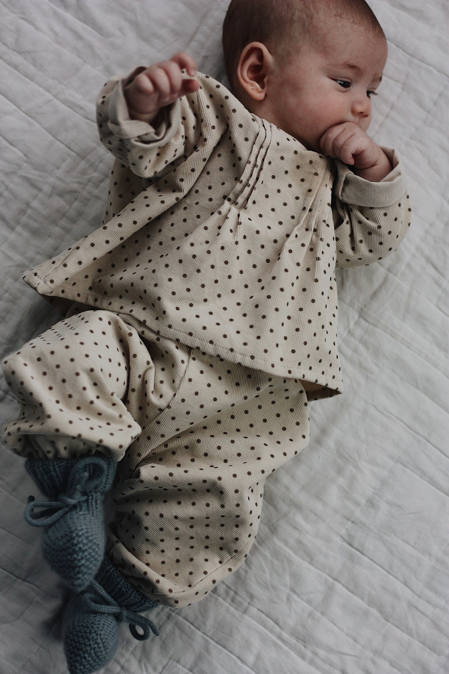 Lalaby Pixi Pants - Brown Dot