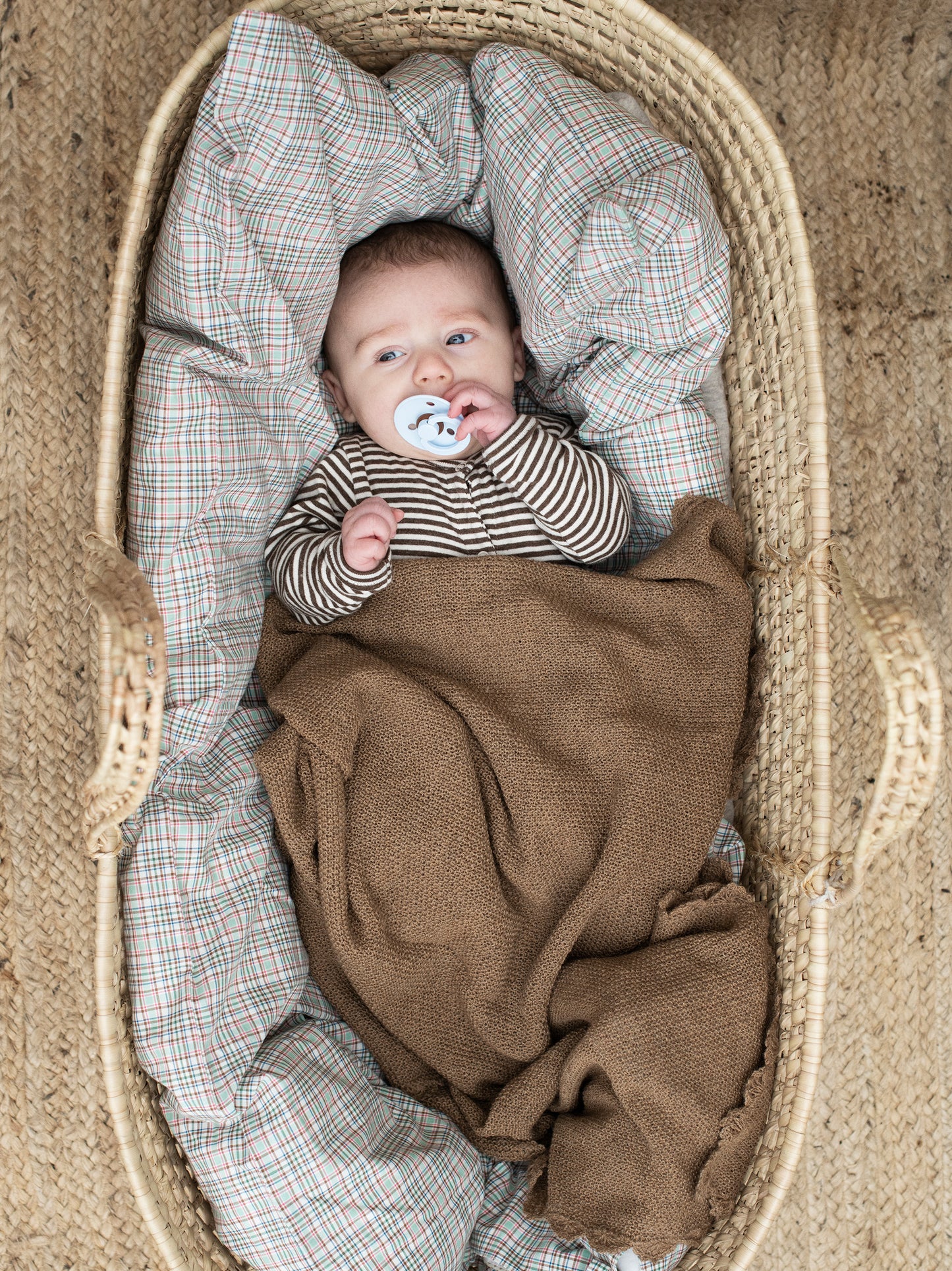 Serendipity Newborn heldragt, Chestnut/Offwhite