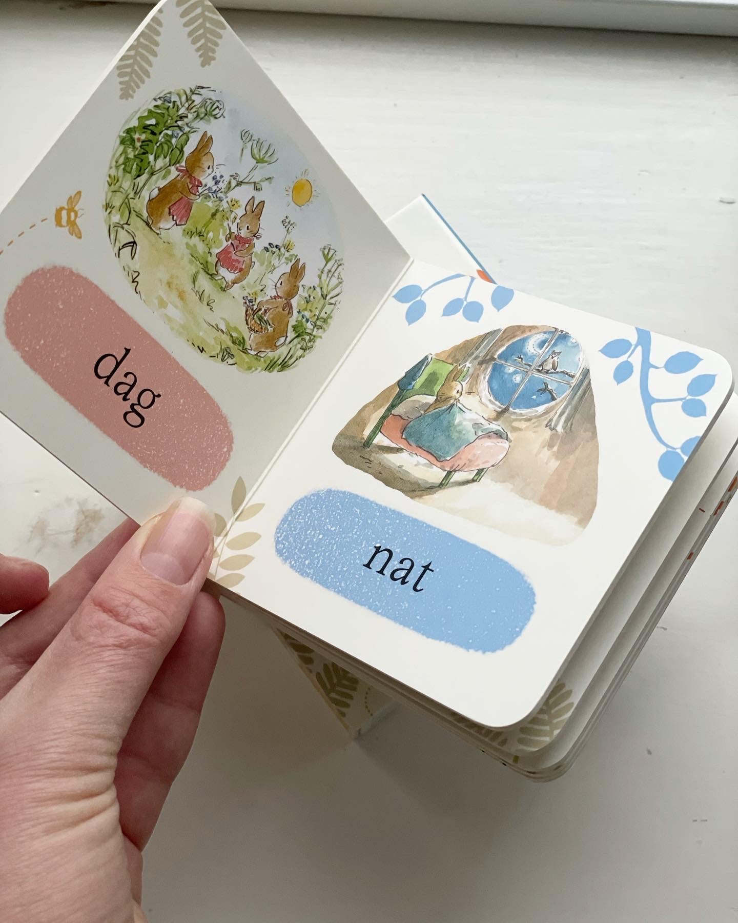 Peter Kanin Min lille boks med bøger - af Beatrix Potter