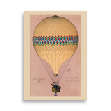 Luftballon plakat, rosa 50 x 70 cm